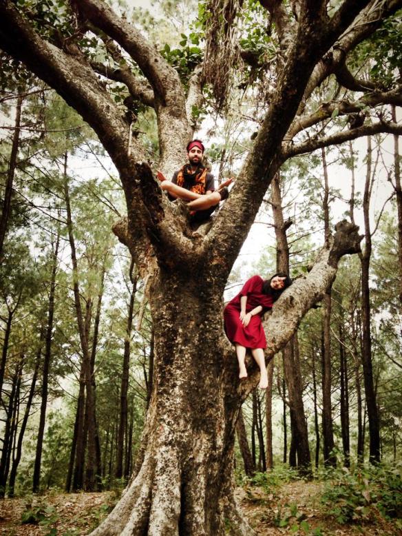 1186047_10100138369144211_308395328_n