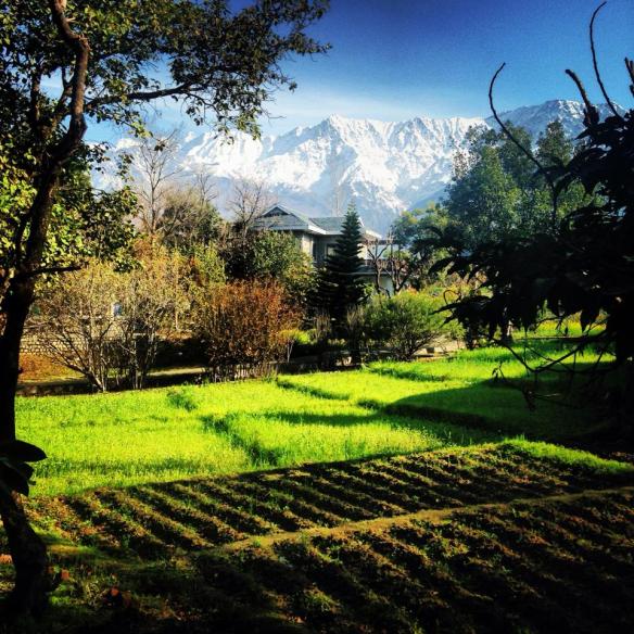 1510670_10100138368485531_981753075_n