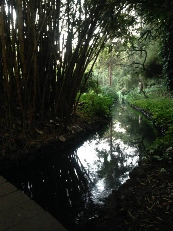 1521795_10100109632033611_77386022_n