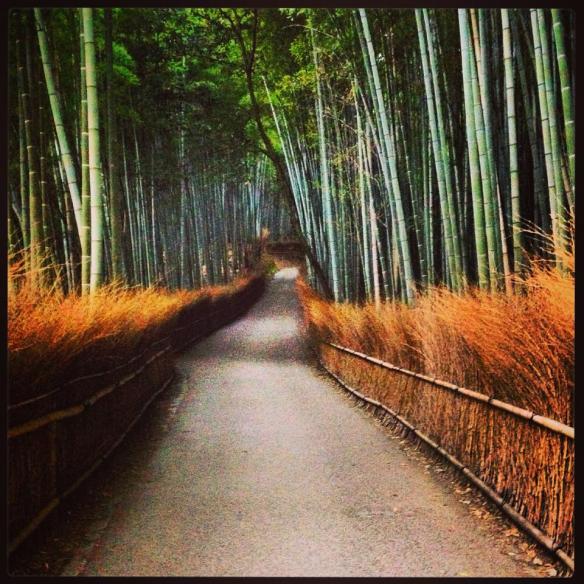 10347628_10100252777933081_7316649442507602022_n