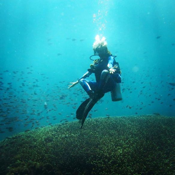 603807_10153356796181282_6299275285401792825_n