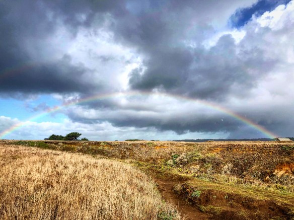 a8e147c8-b39c-4d72-81e9-29dc10bd3b19