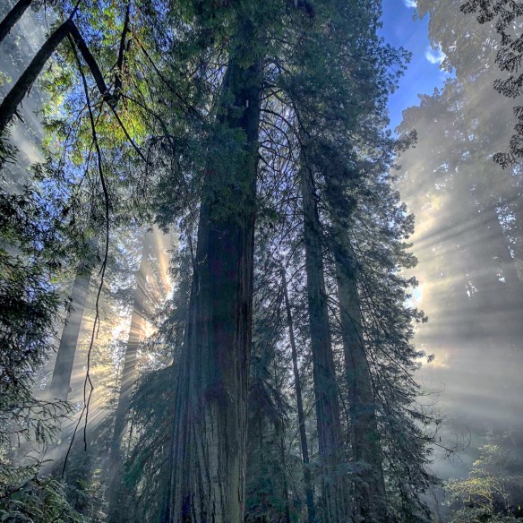 dad338ce-63e1-4744-913b-3d41fa35754b